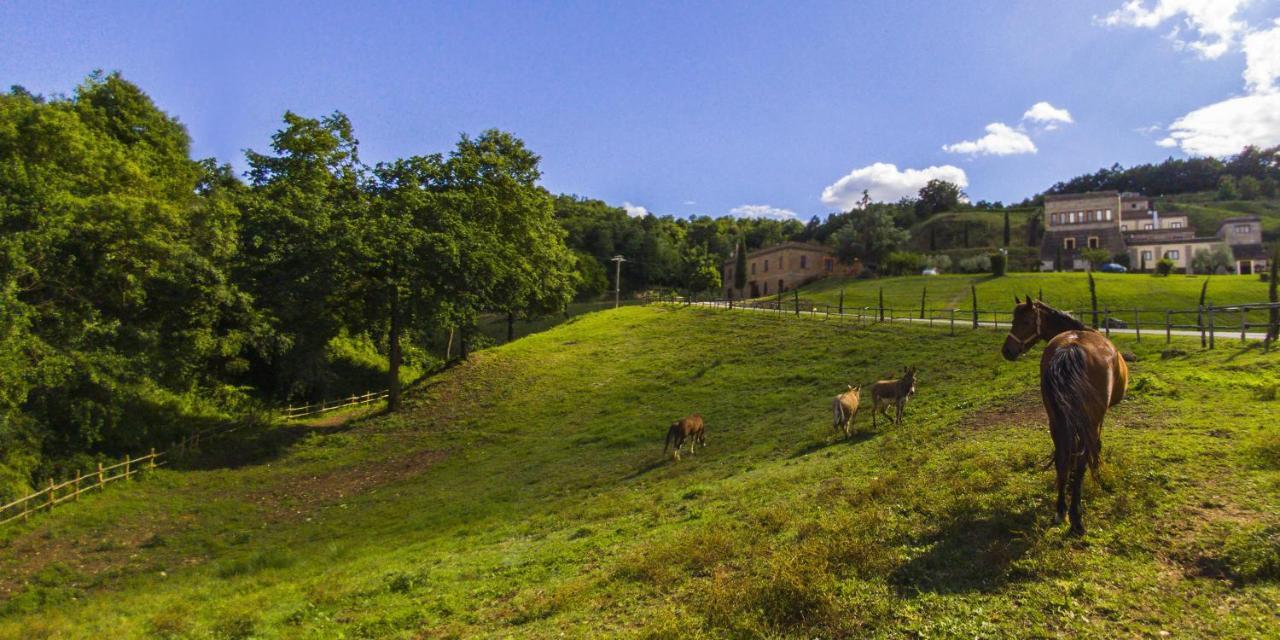 Agriturismo Rio Coverino Borghetto  Kültér fotó